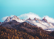 彩客网体育集团-德罗赞表态愿意加盟湖人：梦想就是穿上紫金球衣